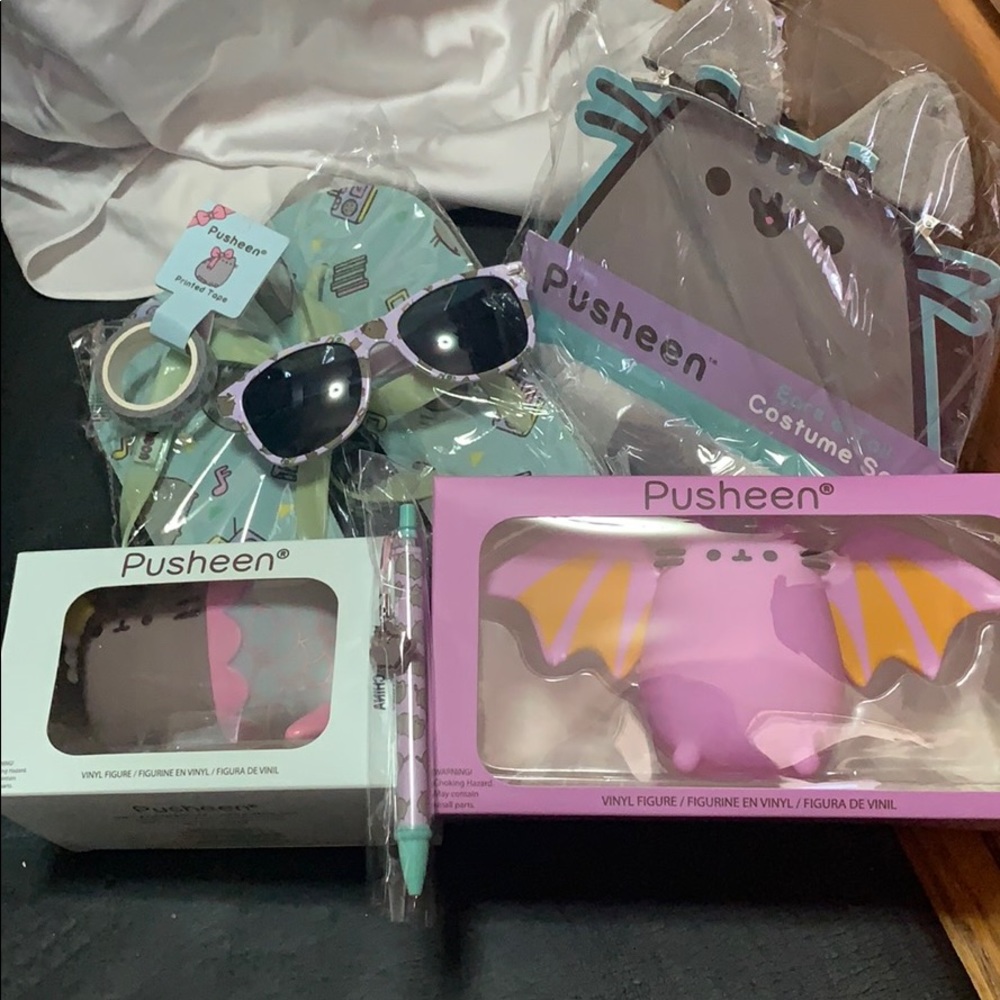 Pusheen bundle- all never been used